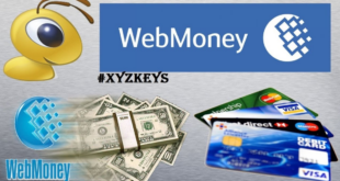 Cara Withdraw Webmoney WMZ ke IDR Rekening Bank Lokal